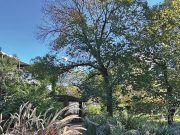 Hidden gems of Parramatta Park