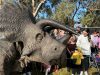 DinoFest roars back to Sydney Olympic Park