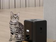 How Automatic Cat Feeders Support Weight Management in Cats